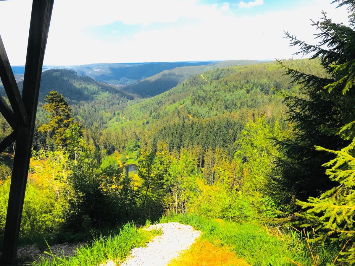 Haus Jenni Im Schwarzwald, 3,5-Zimmer, Grosse Terrasse Freudenstadt Zewnętrze zdjęcie