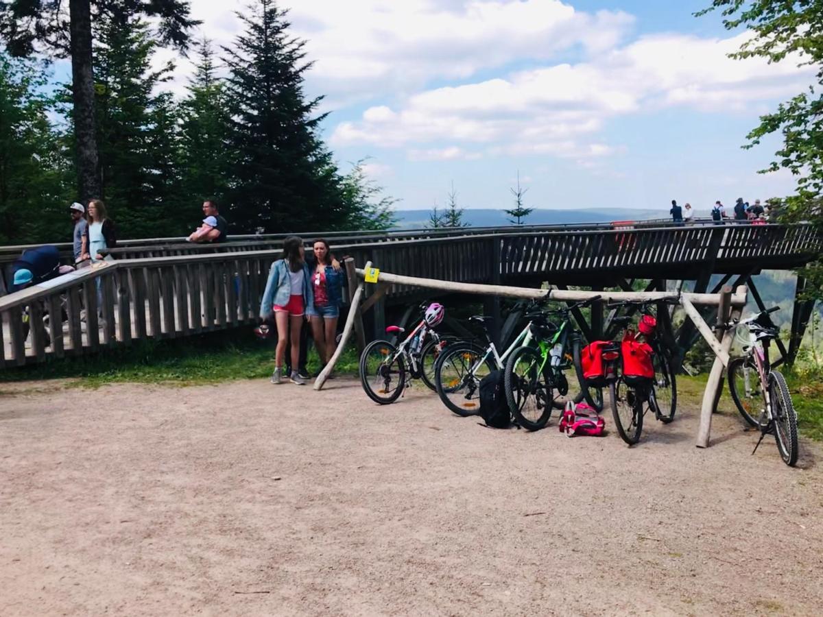 Haus Jenni Im Schwarzwald, 3,5-Zimmer, Grosse Terrasse Freudenstadt Zewnętrze zdjęcie