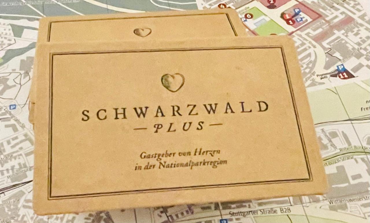 Haus Jenni Im Schwarzwald, 3,5-Zimmer, Grosse Terrasse Freudenstadt Zewnętrze zdjęcie