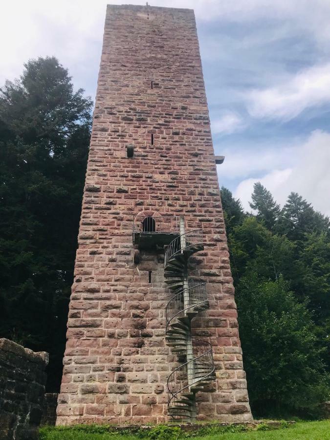 Haus Jenni Im Schwarzwald, 3,5-Zimmer, Grosse Terrasse Freudenstadt Zewnętrze zdjęcie